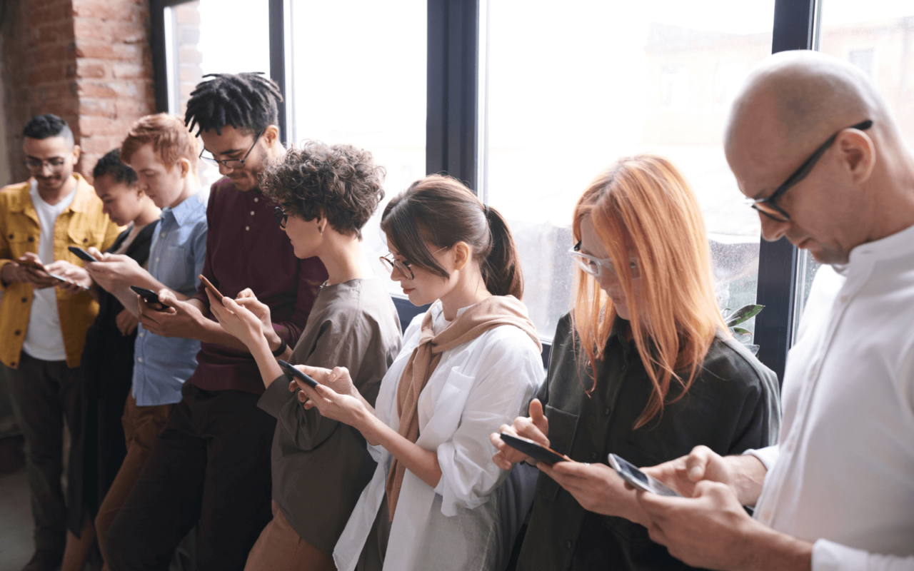 Forest path with filtered sunlight